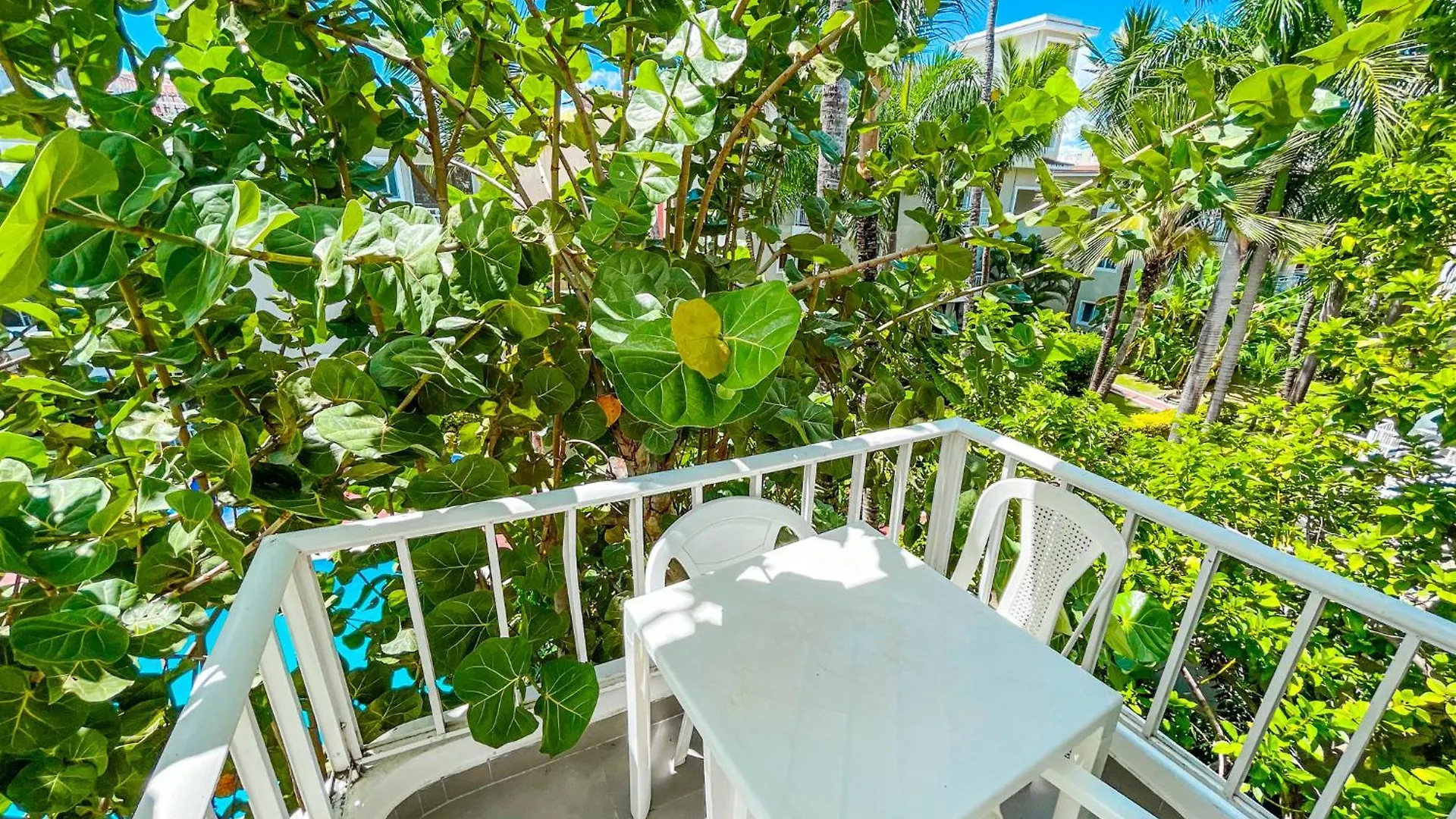Caribbean Paradise Tropical Hotel With View Los Corales Wifi Beach Club & Spa 蓬塔卡纳